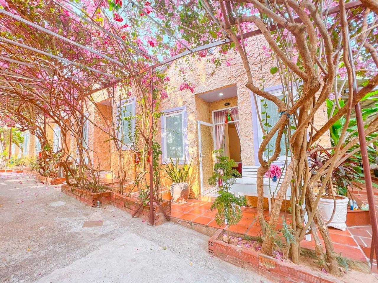 Mui Ne Sunlight Villa Bagian luar foto